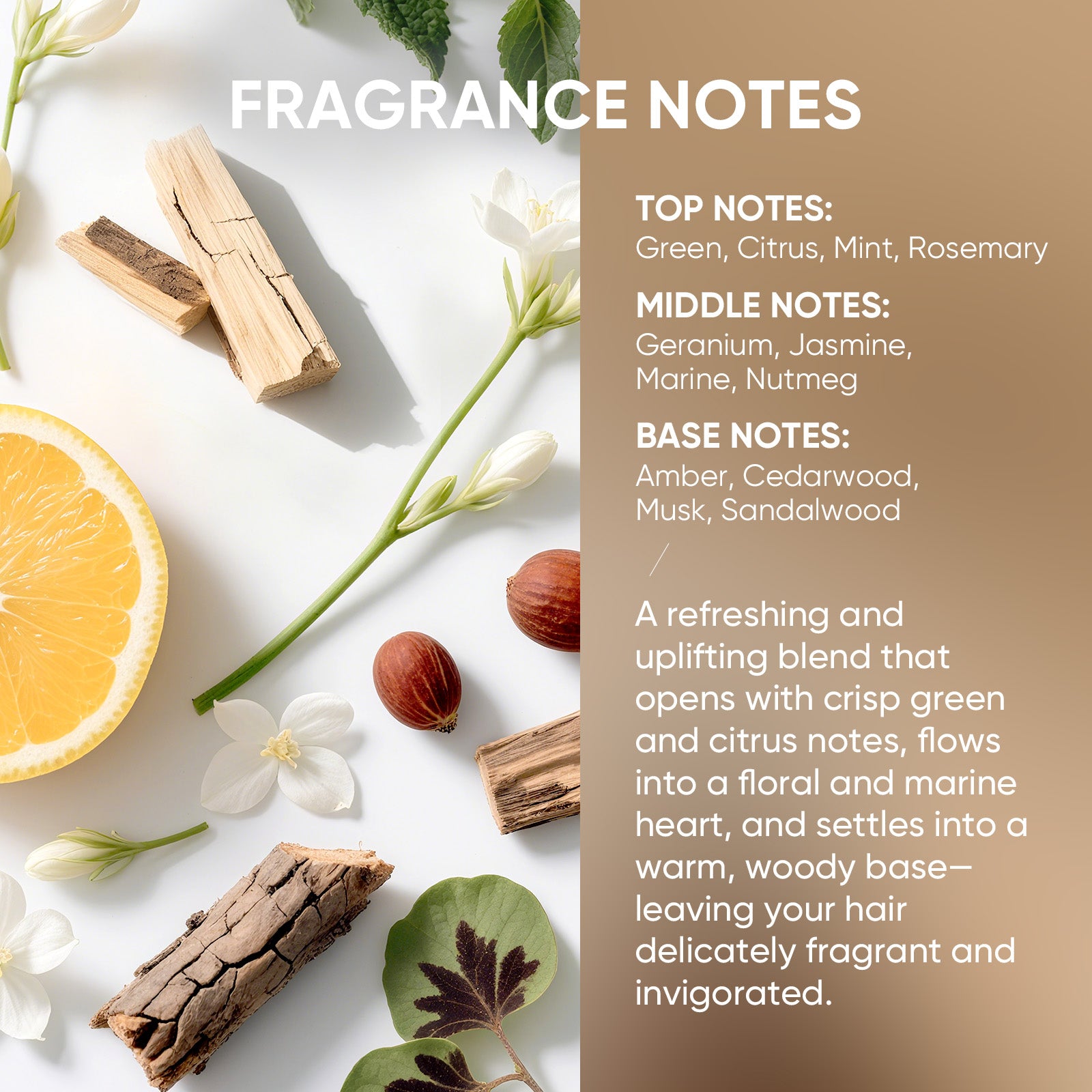 Easyes Anti-Dandruff And Anti-Hair Thinning Shampoo