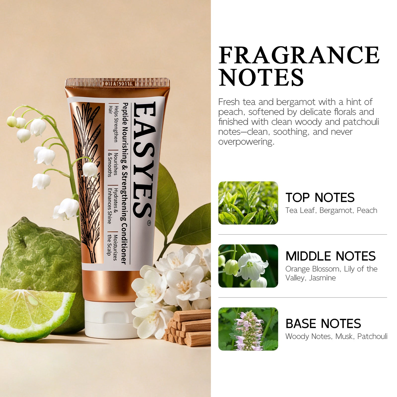 Fragrance profile of EASYES peptide conditioner with tea leaf, bergamot, peach, floral and woody scent notes